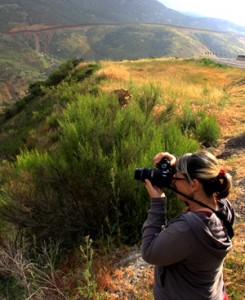 Photographing the border wall in Otay Mountain Wilderness from Mexico's Federal Highway 2D just west of Tecate, B.C.